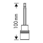 Billede af Heytec top 1/2" torx 30x100mm